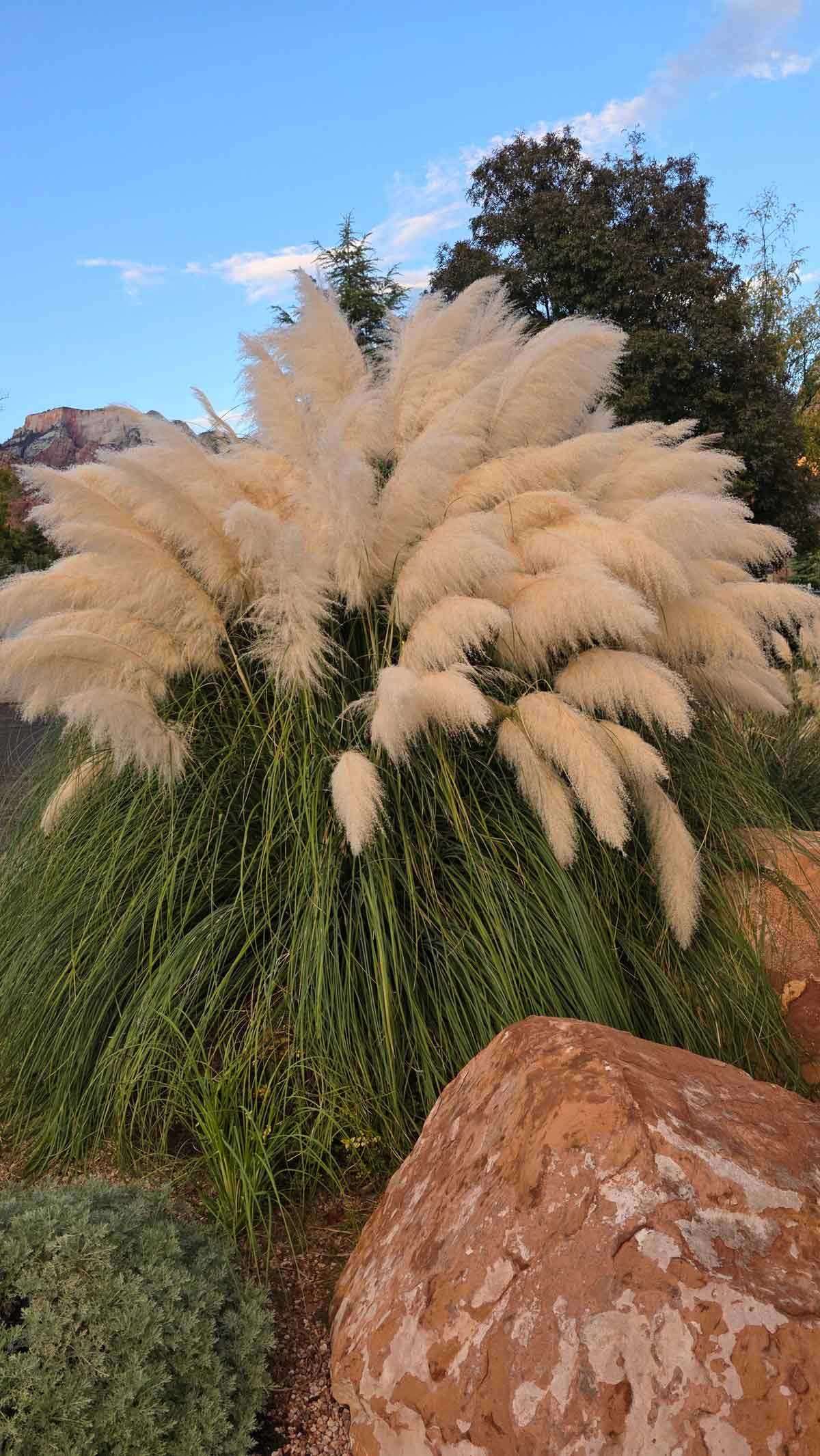 Las Vegas Utah 2025 22